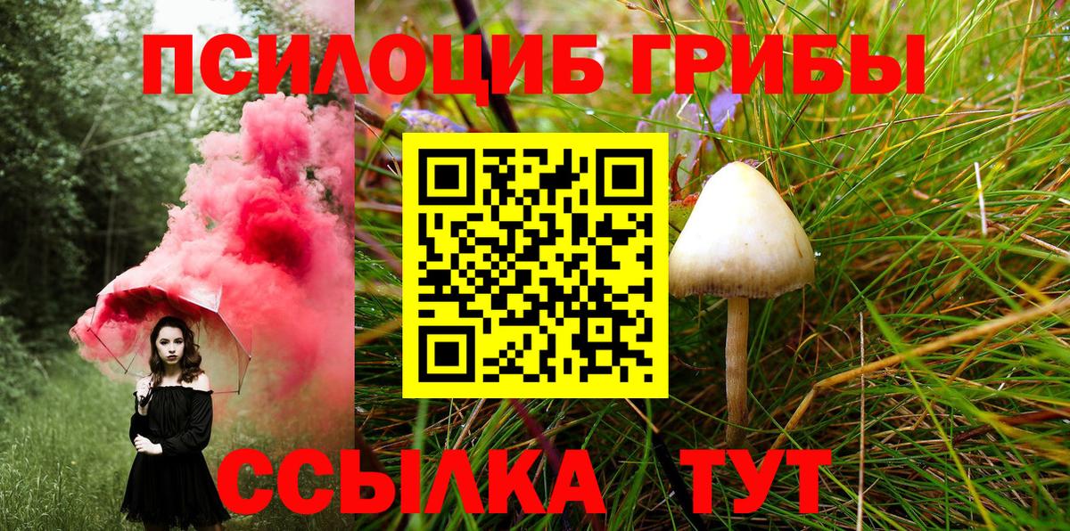 Галлюциногенные грибы MAGIC MUSHROOMS  Галлюциногенные грибы ЛСД  Амурск  Вход с VPN 